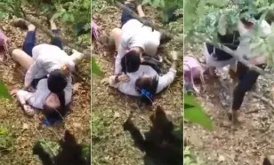 Abg Sma Viral on Social Media Yandex Viral in 2025 Cewek Ketahuan Main di Kebun Ketagihan Wiwik Bertiga Bareng Temen Smp Iclik di Apartemen of All Time Trending yang Lagi Viral